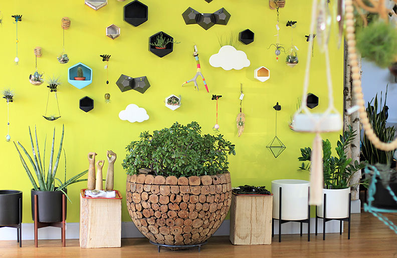 yellow-wall-with-jade-web.jpg