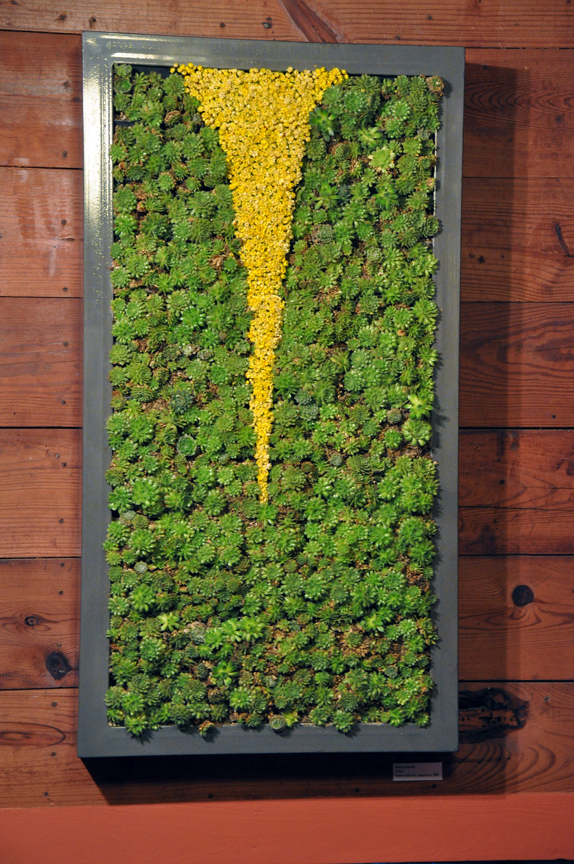 fissure | 2010 | 39"x21" | powder-coated steel, succulents, dried flowers