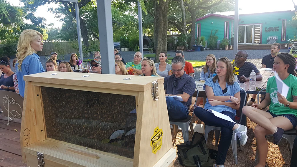 bee-class-bees-sm.jpg
