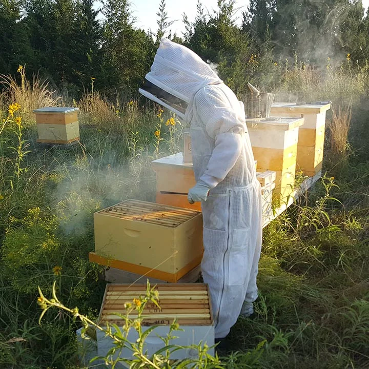 TXBW-Erika_WorkingBees-sq-web.jpg