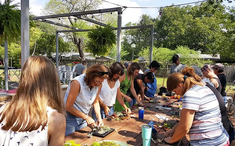 mini-living-wall-class-working-web.jpg