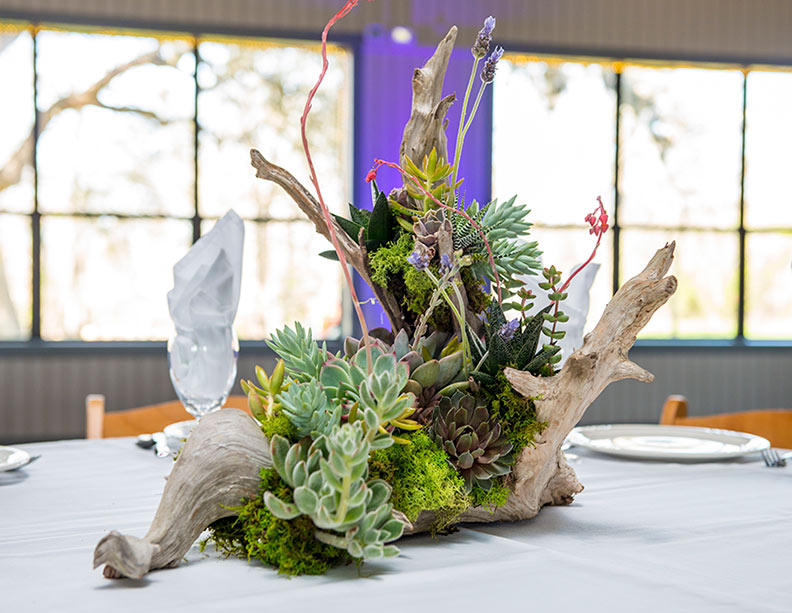 driftwood and succulent wedding centerpiece