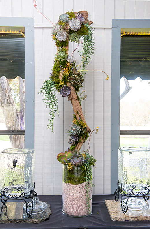 vertical succulent arrangement