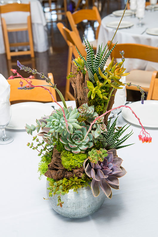 brass bowl succulent centerpiece