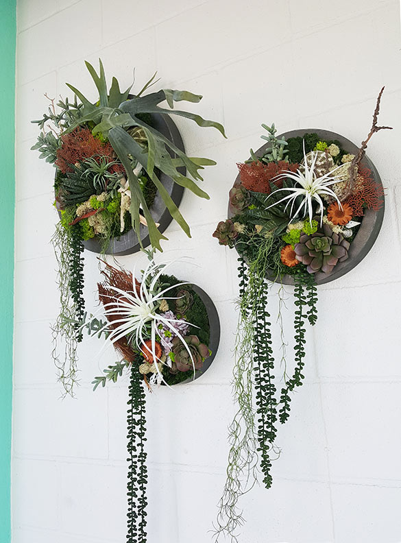 Faux plant walls | Sunflower Beach Resort & Residences | Port Aransas