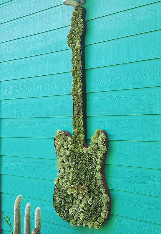rocking the succulents | 5-foot living succulent guitar