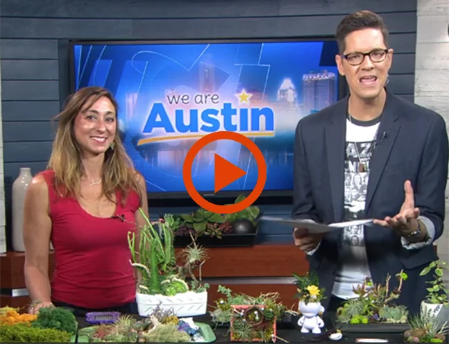 CBS - We Are Austin (watch video) The We Are Austin crew invites Artiulture’s Monique Capanelli to talk plant art and living walls. Co-host Trevor Scott was super excited and friendly.