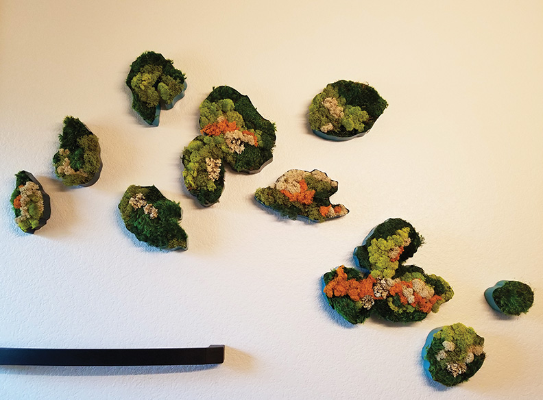 Dallas residence | custom fabricated frames to mimic geode shapes, with preserved mosses