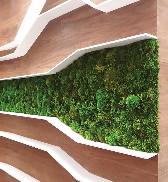 Preserved Plant Walls Artificial Plant Walls Moss Logos Moss Walls