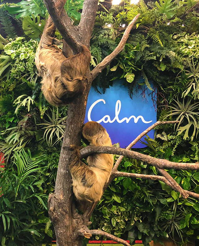 Sloths! | SXSW 2019 Calm living wall | (we did not provide slots, but how awesome is that!)