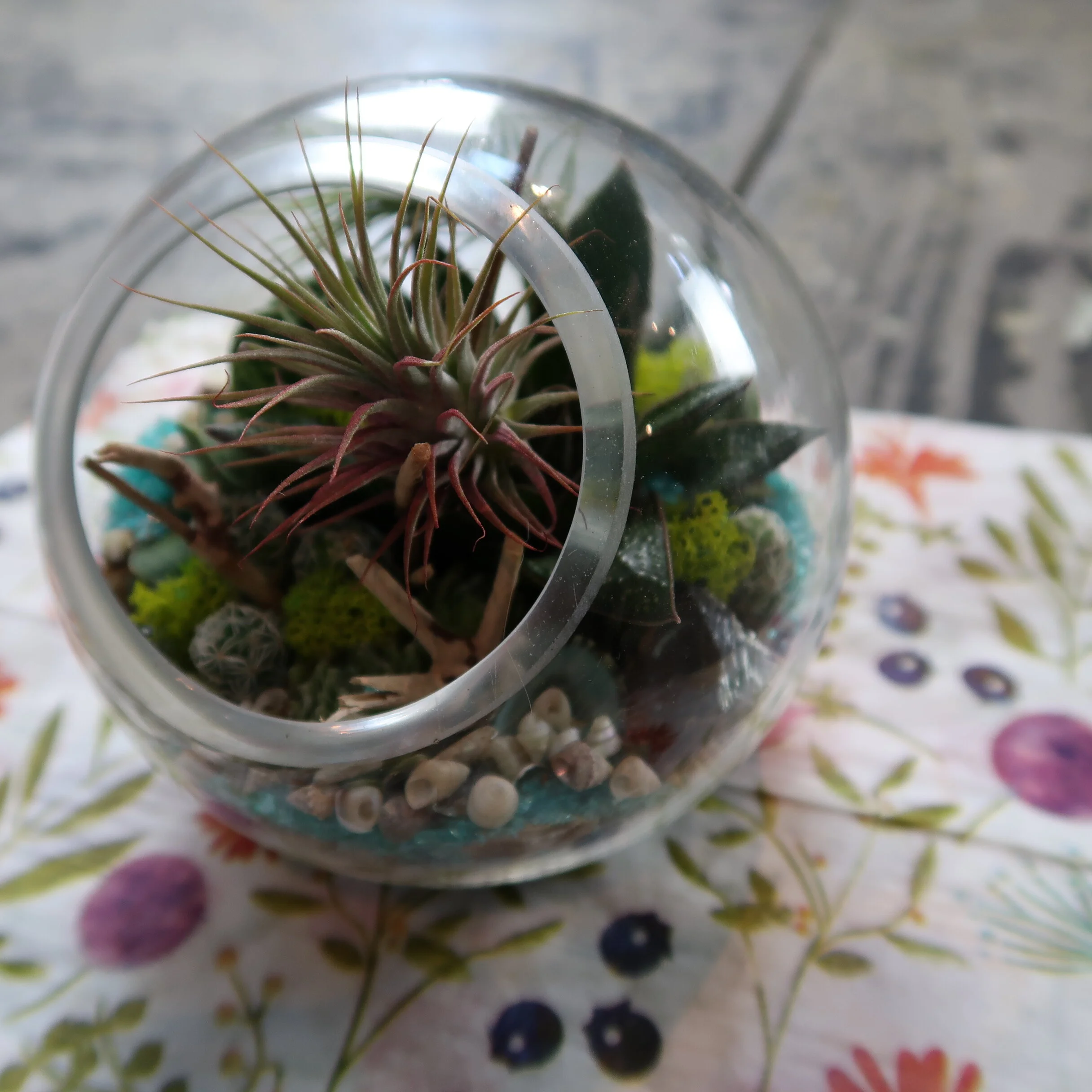 Virtual DIY - Make a Mini Terrarium Class