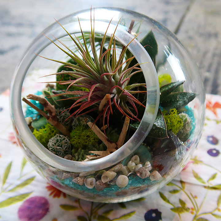 How to Make a Terrarium Table - Everything You Need to Know