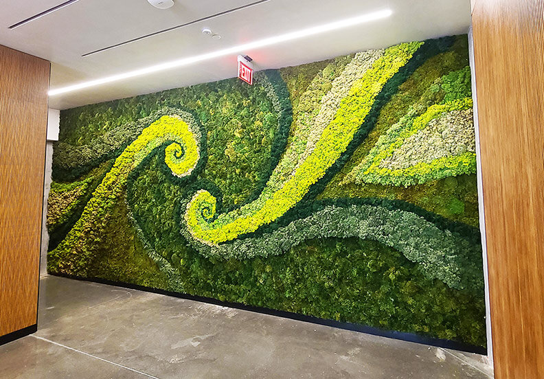 Living moss wall art : r/terrariums