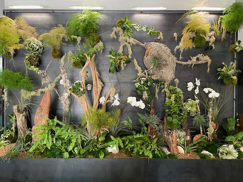 fascisme Makkelijk in de omgang rotatie Interior Plant Design, Botanical Art, and Premium Plantscapes — Articulture  Designs