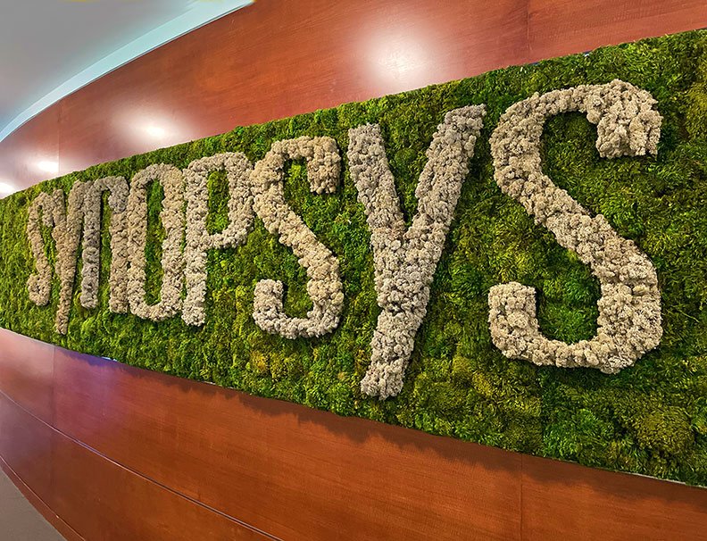 Preserved Plant Walls, Artificial Plant Walls, Moss Logos, Moss Walls ...