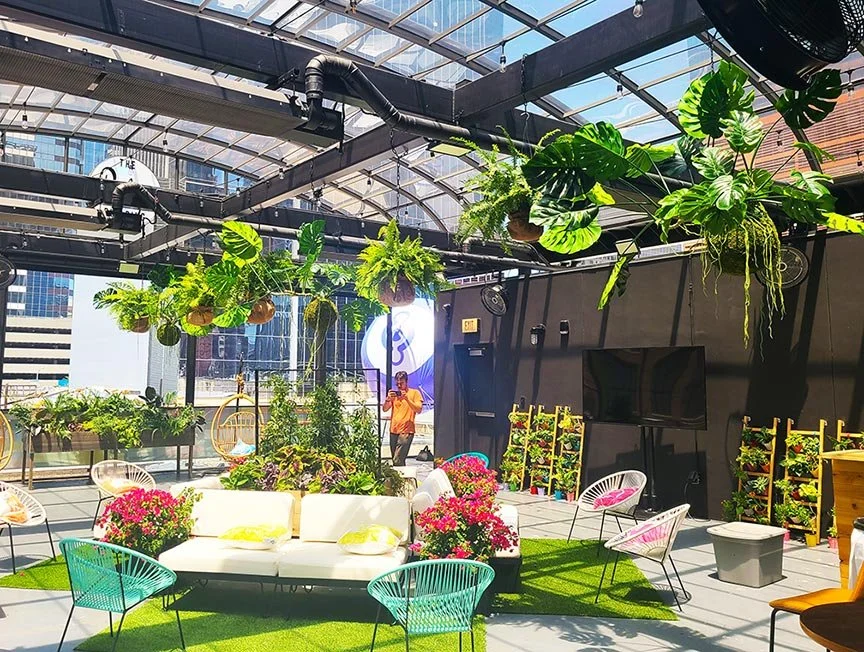 Plant Rental to Bring Life to Your Event  Articulture Designs