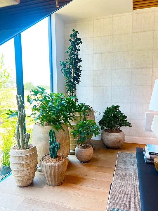 Interior Plant Design, Custom Plantscapes, Home & Office Plants, Custom  Planters  Articulture Designs