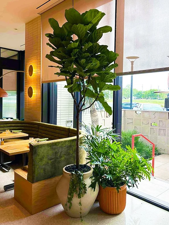 Interior Plant Design, Custom Plantscapes, Home & Office Plants, Custom  Planters  Articulture Designs