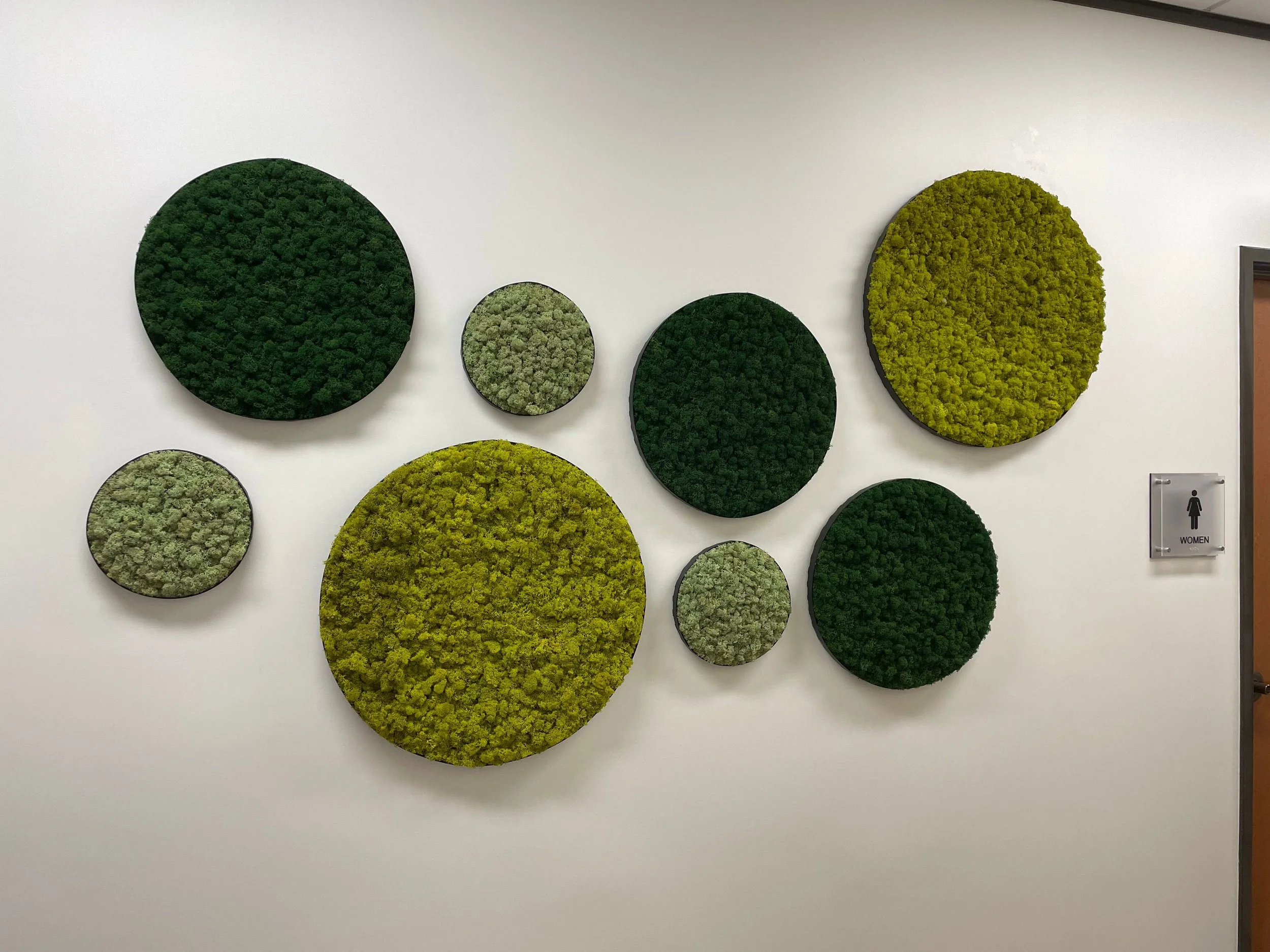 Moss Circles