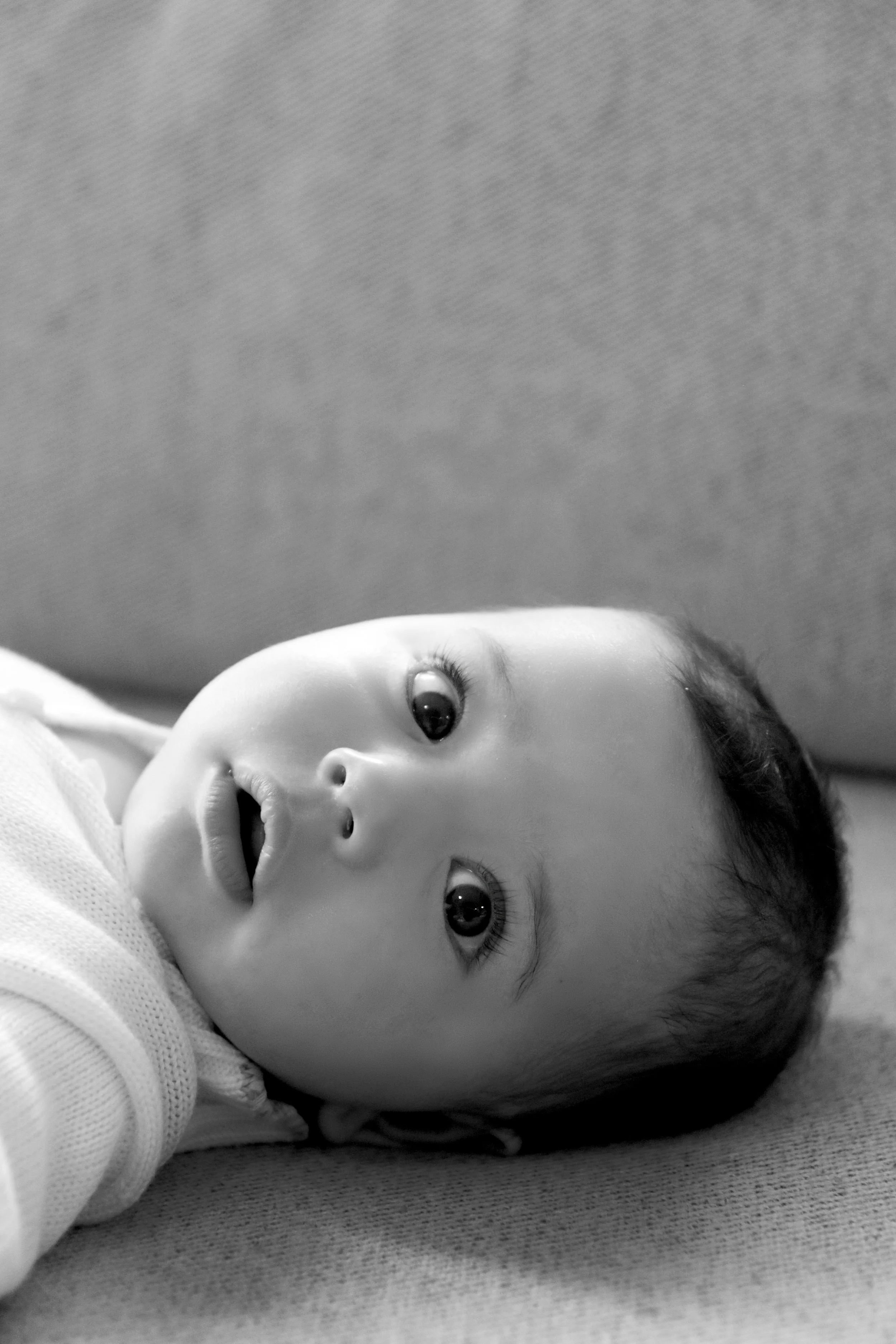 IMG_0390_A.jpg