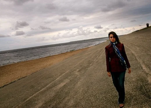 The Quiet and the Chaos 