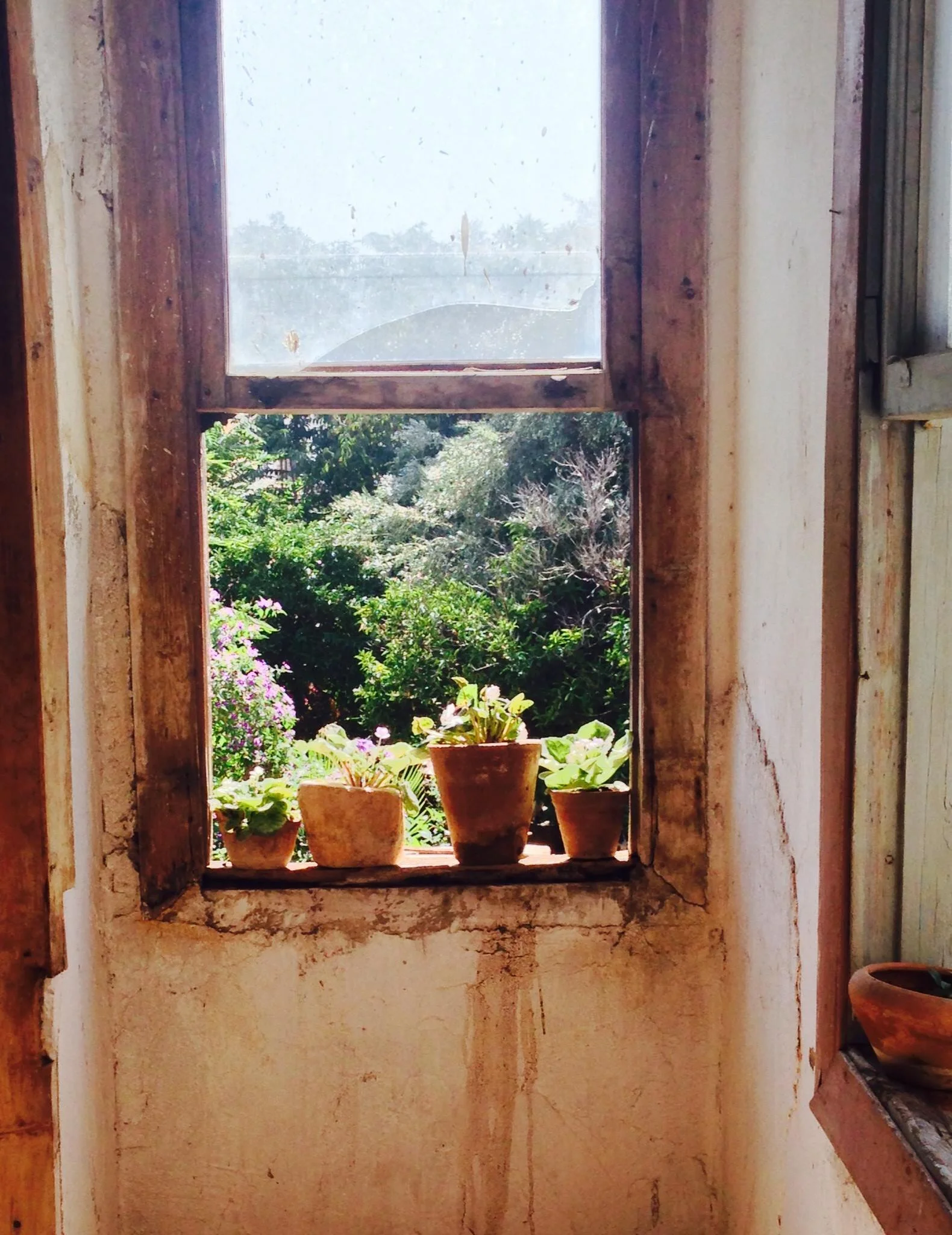 The Old Man and the Sea