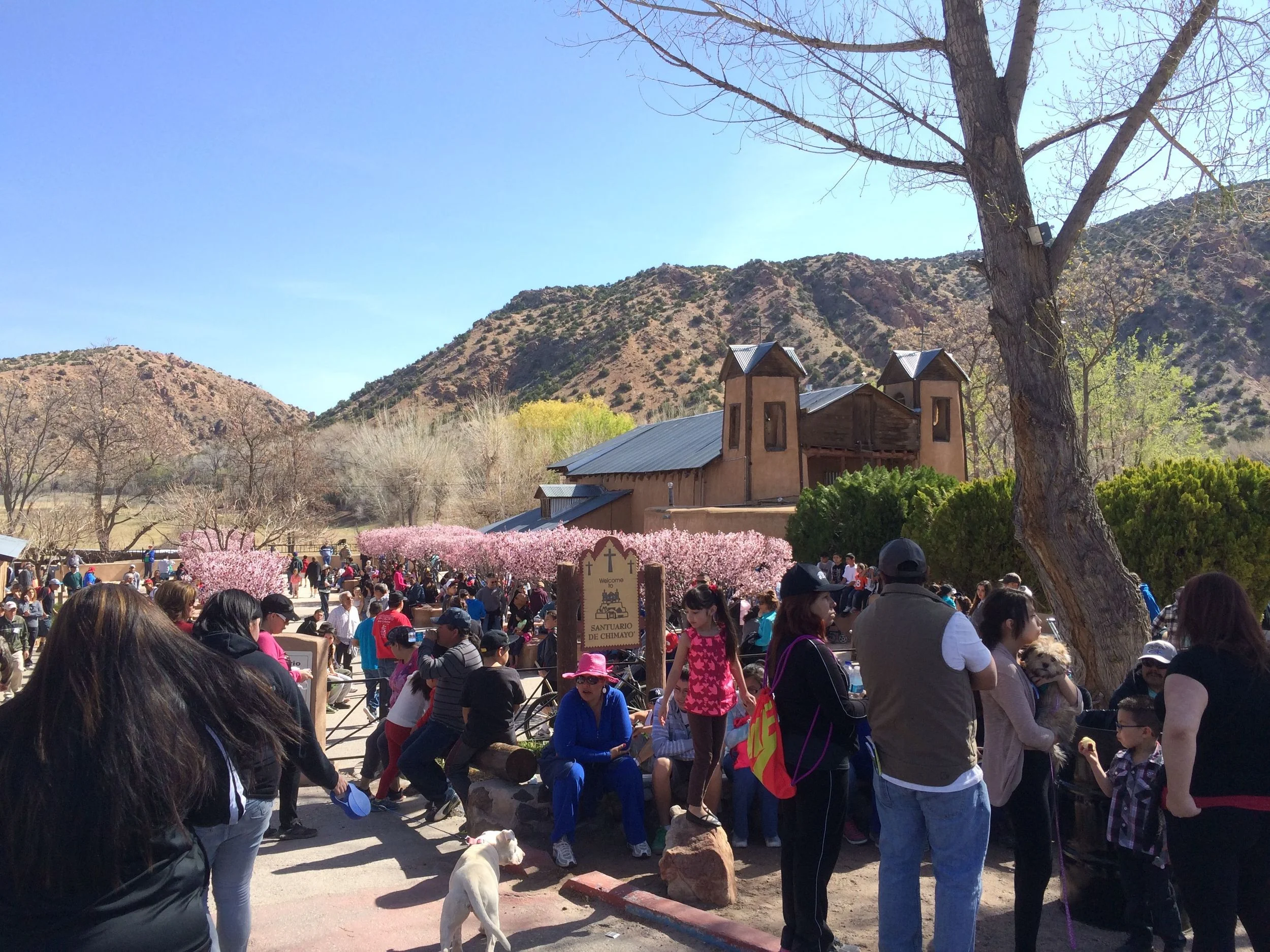 A Pilgrim’s Progress