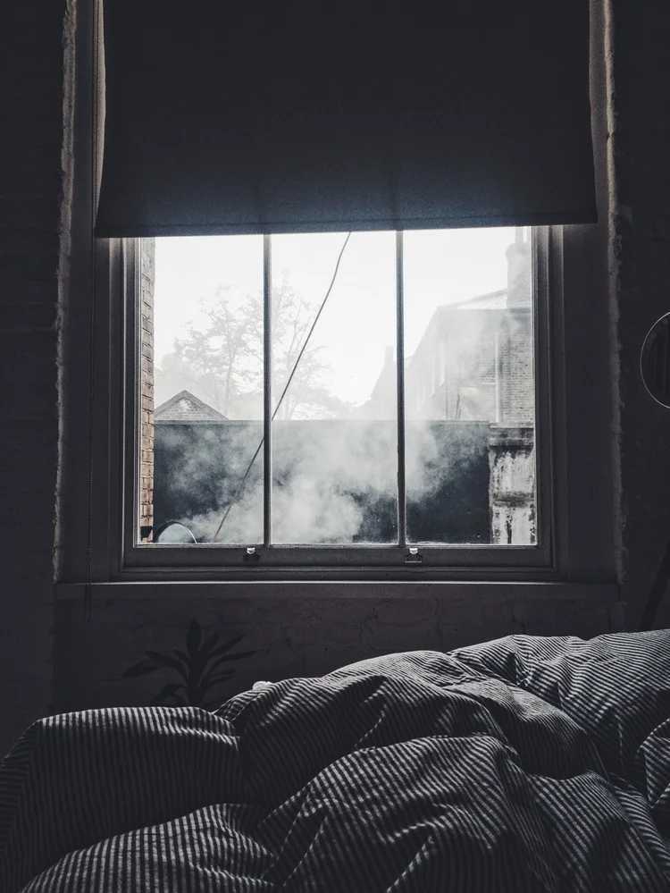 Freedom: Life After Domestic Violence
