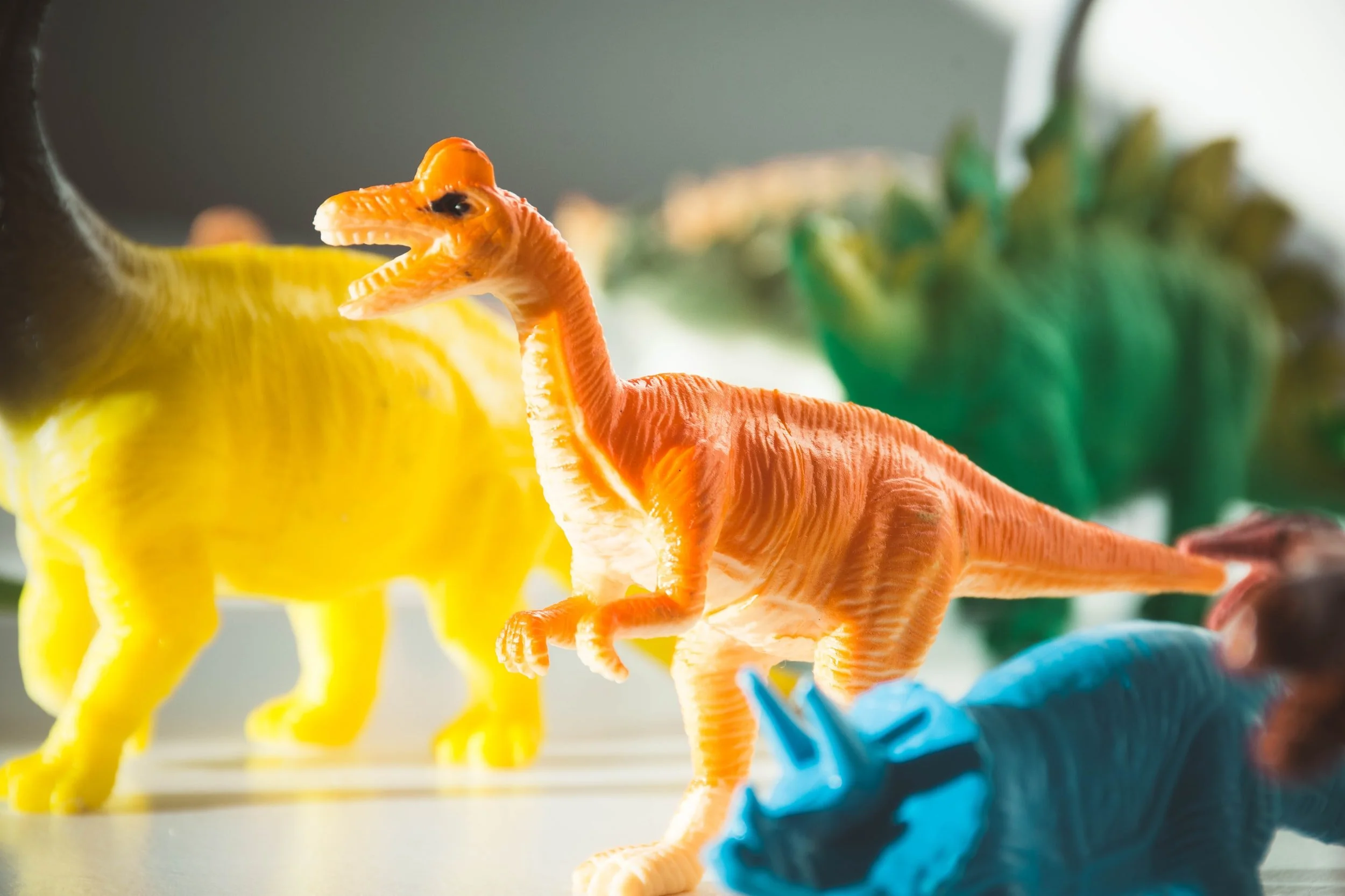 The Dinosaurs of Parkchester Public Library