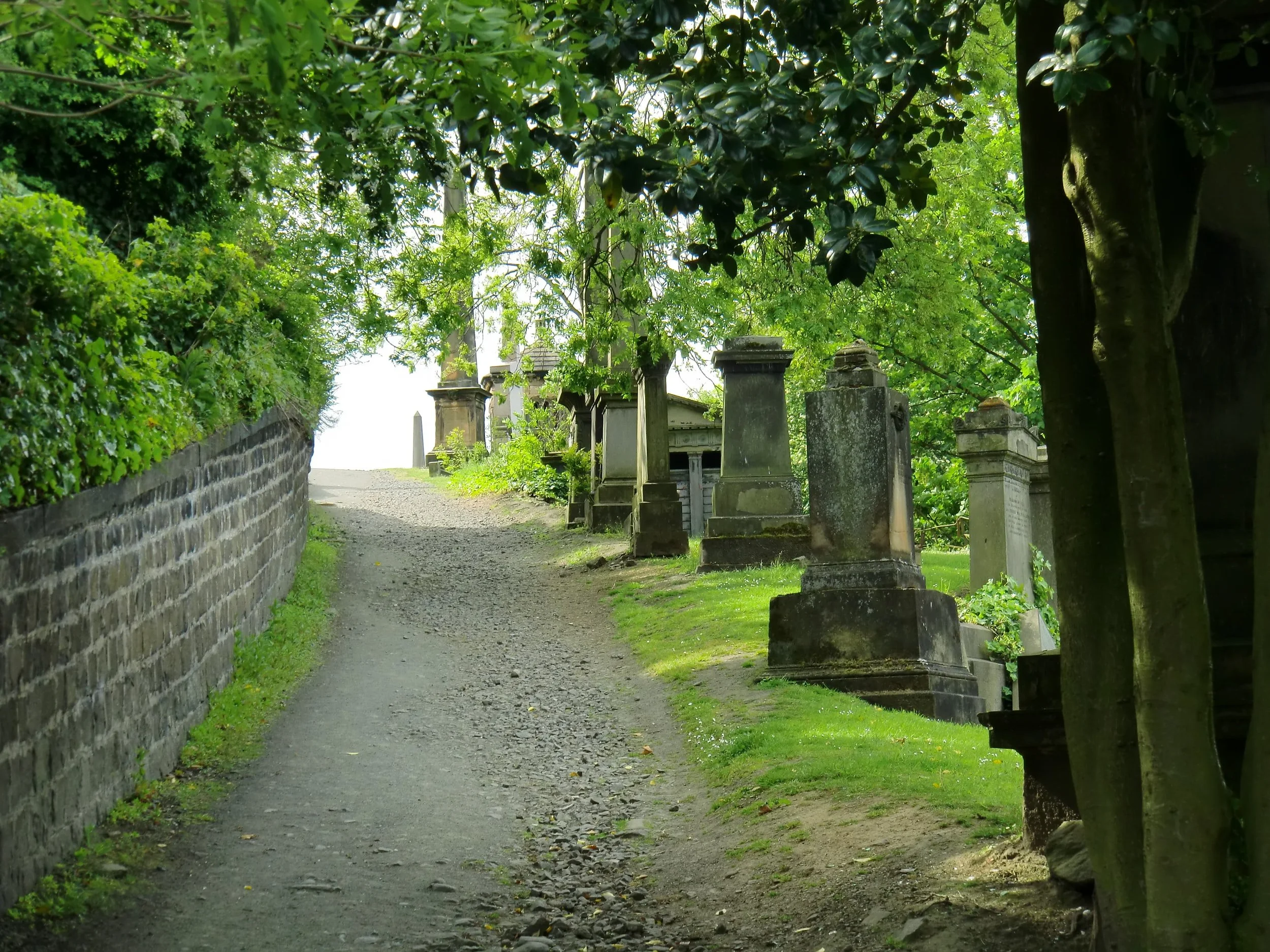 The Walk