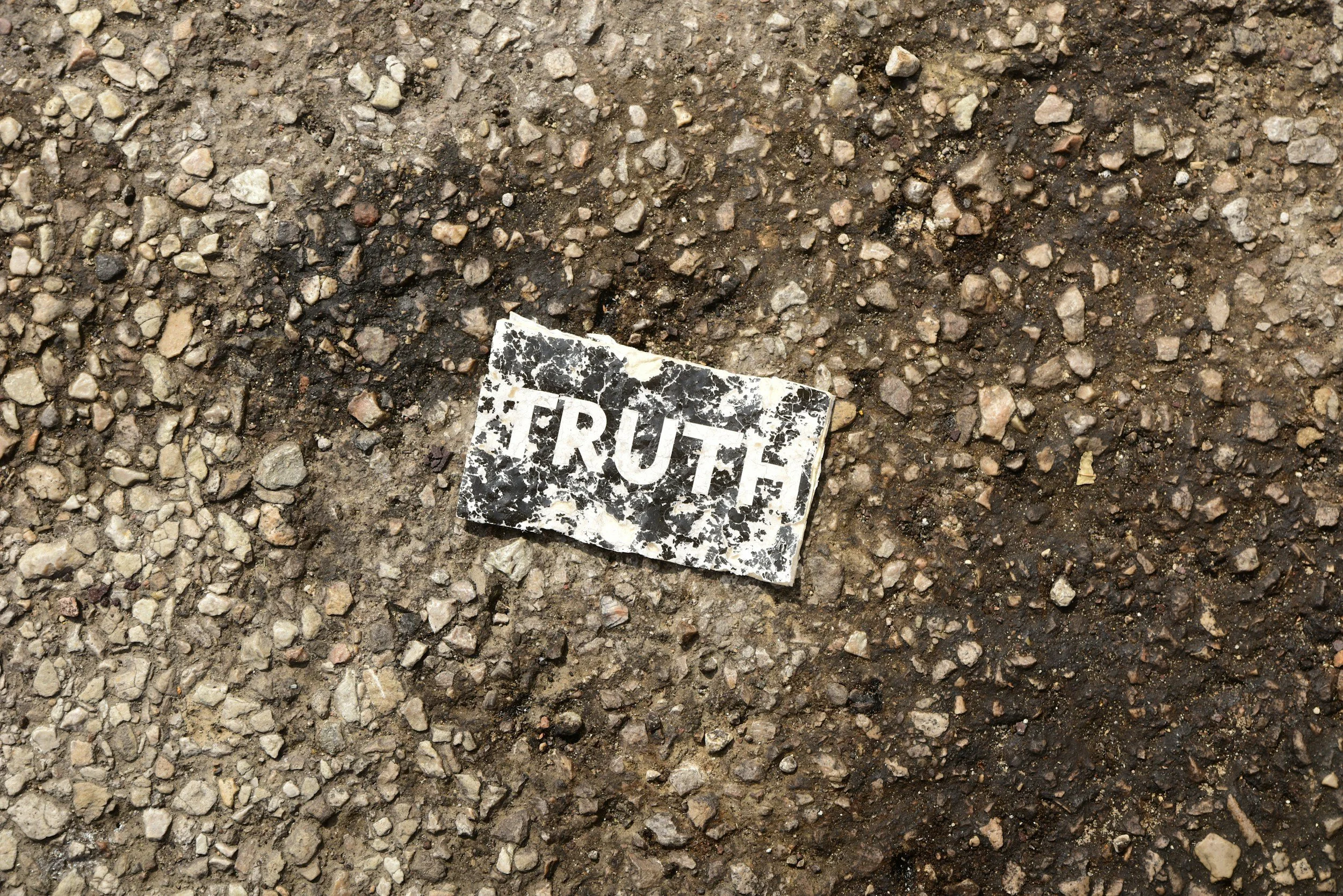 Third Place: Nothing but the Truth