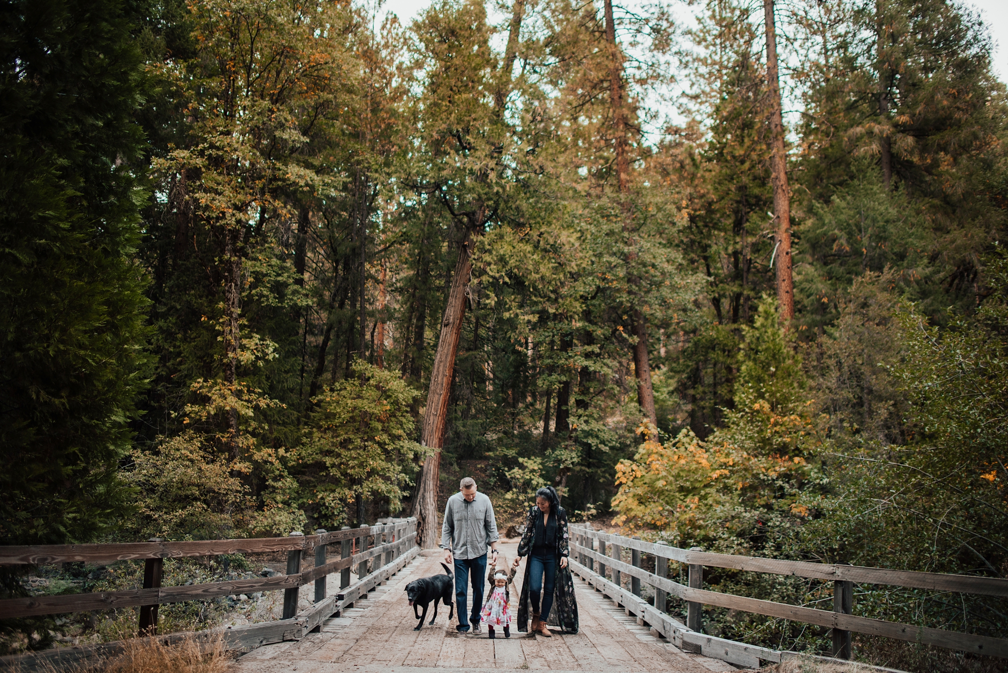 sacramento-family-portrait-photographer-jessica-roman-photography-14.jpg