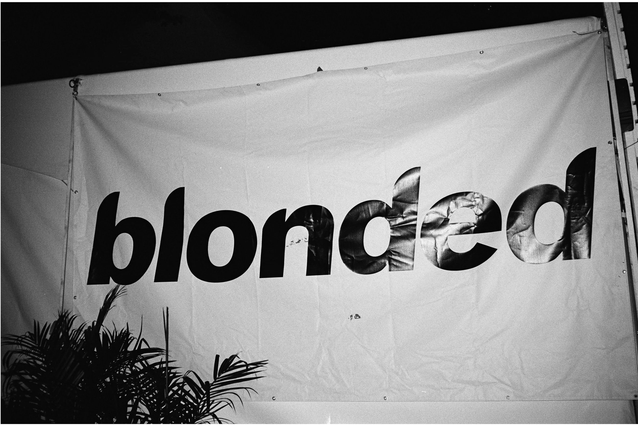 Blonded