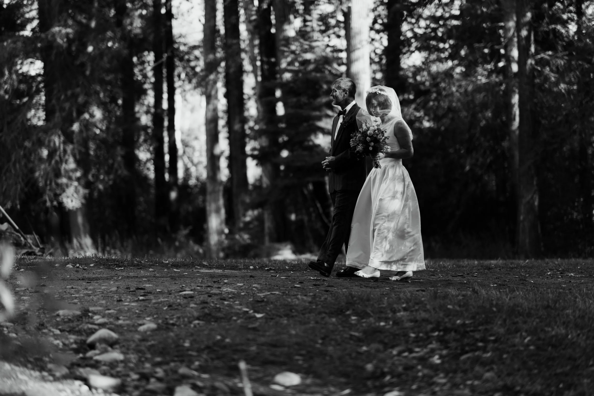 Mitch&Cam's_Wedding190217.jpg