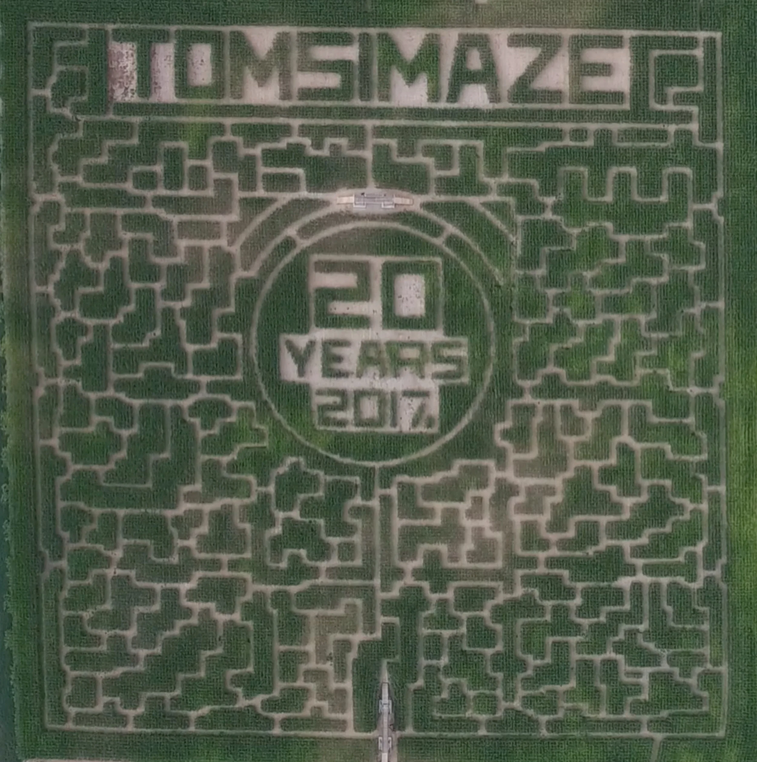 Tom's Maze.jpg