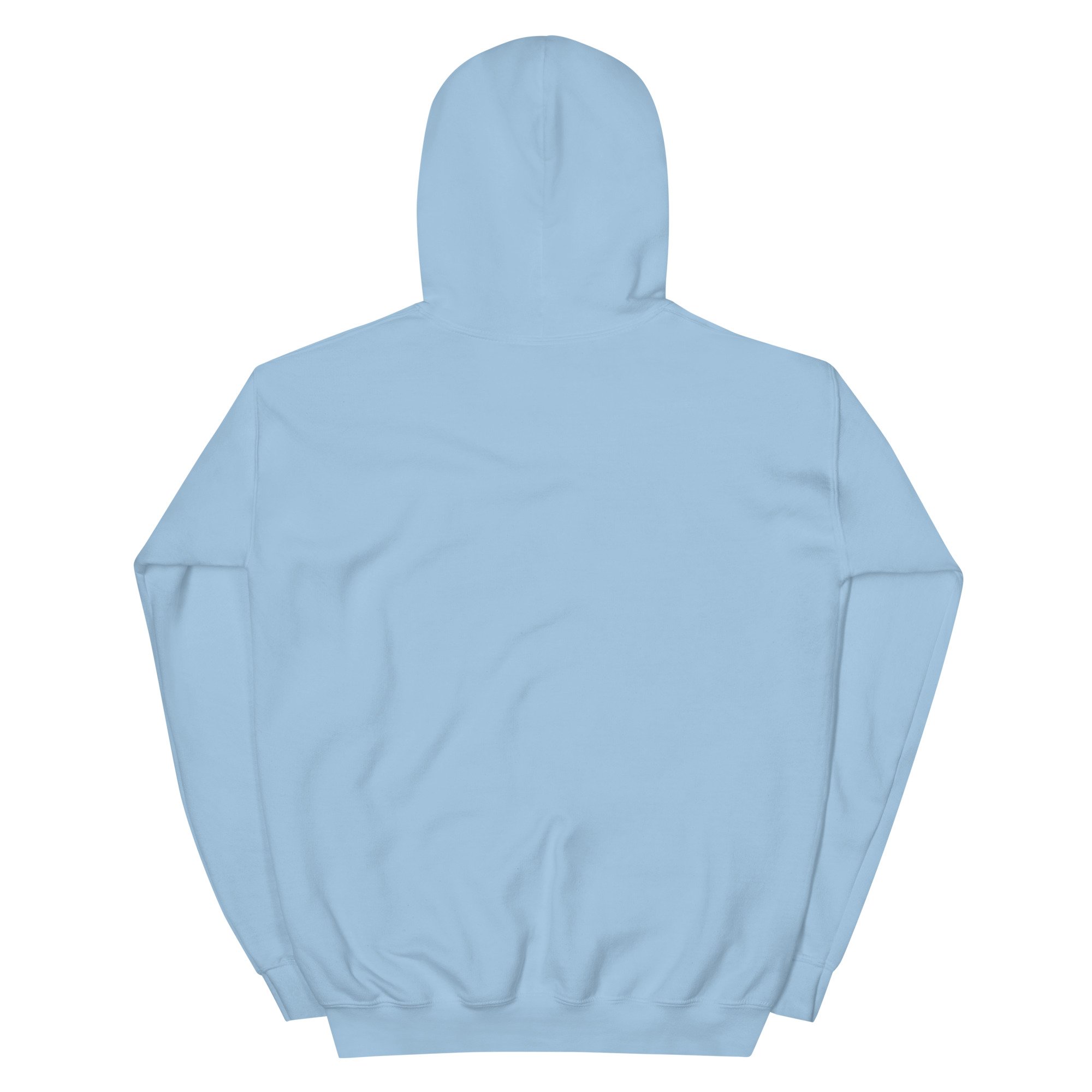 unisex-heavy-blend-hoodie-light-blue-back-692ee1f3b757a.jpg
