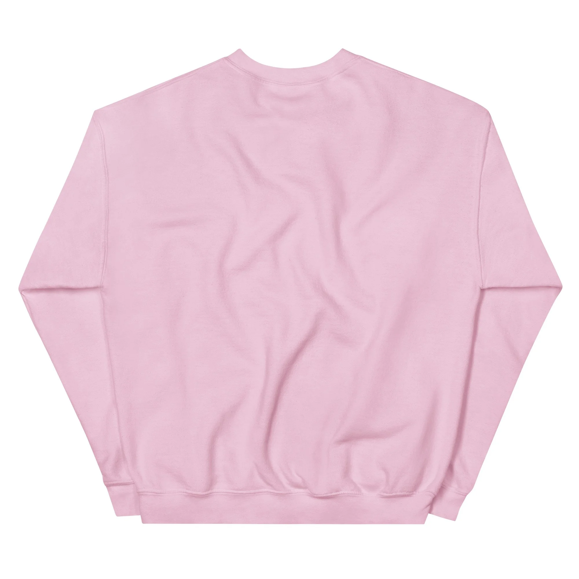 unisex-crew-neck-sweatshirt-light-pink-back-692ee371249c5.jpg