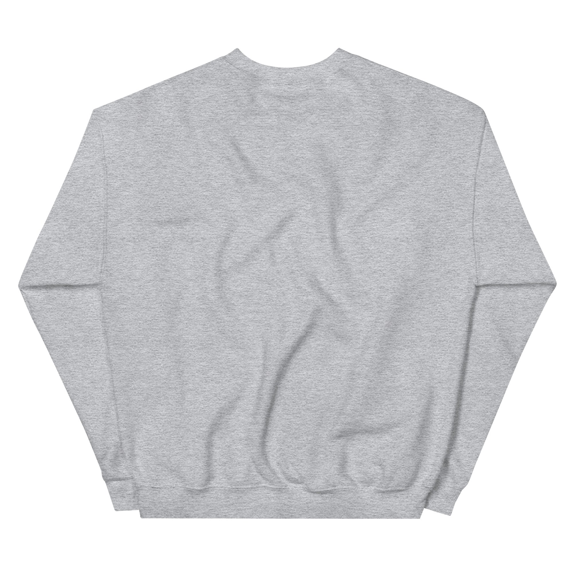 unisex-crew-neck-sweatshirt-sport-grey-back-693302eee96a4.jpg
