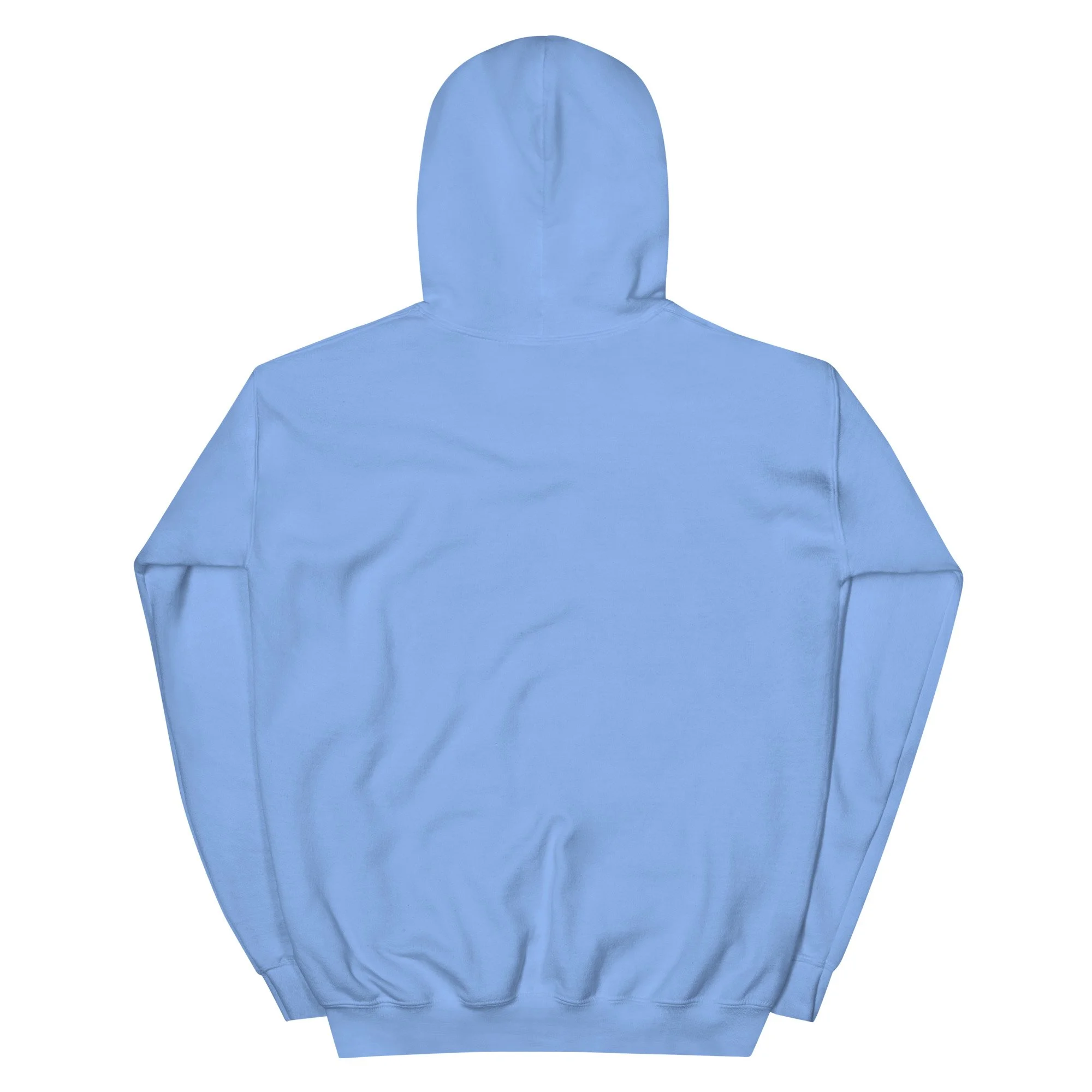 unisex-heavy-blend-hoodie-carolina-blue-back-693304b1e0134.jpg