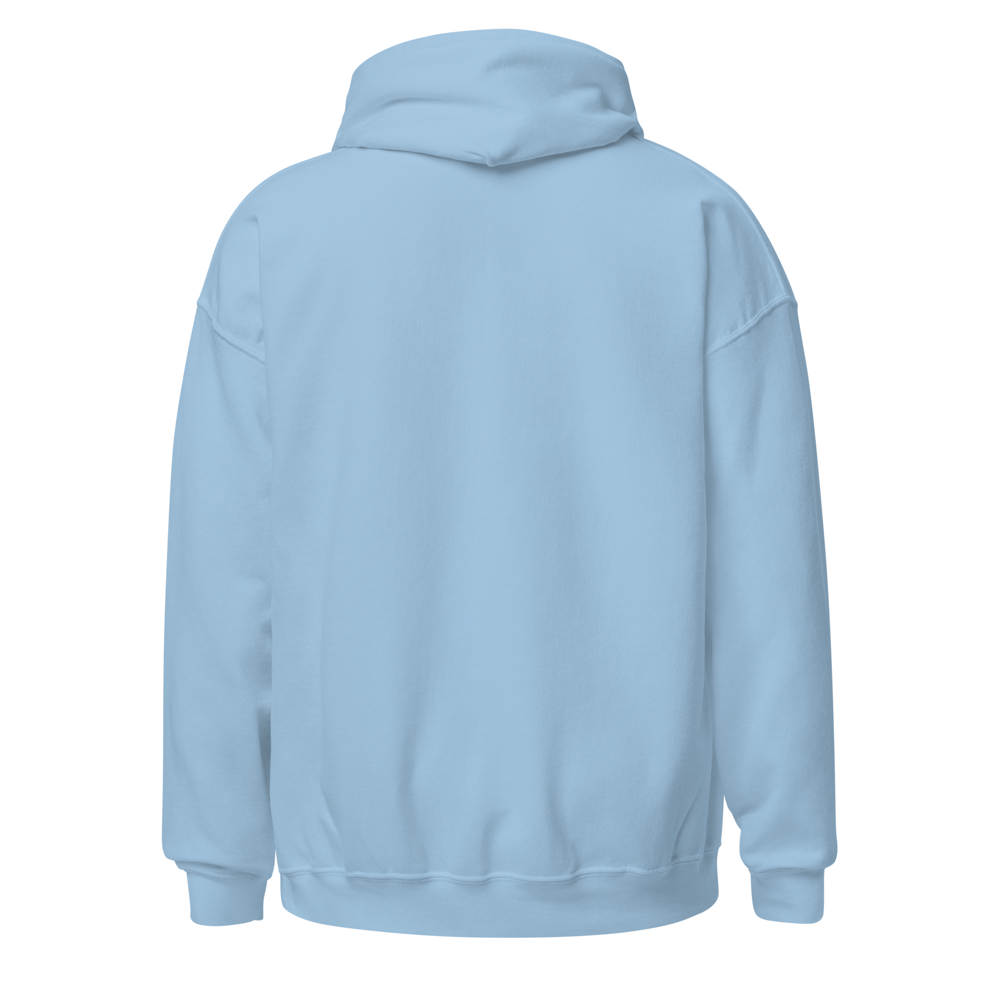 unisex-heavy-blend-hoodie-light-blue-back-6935c1b3f28ee.png