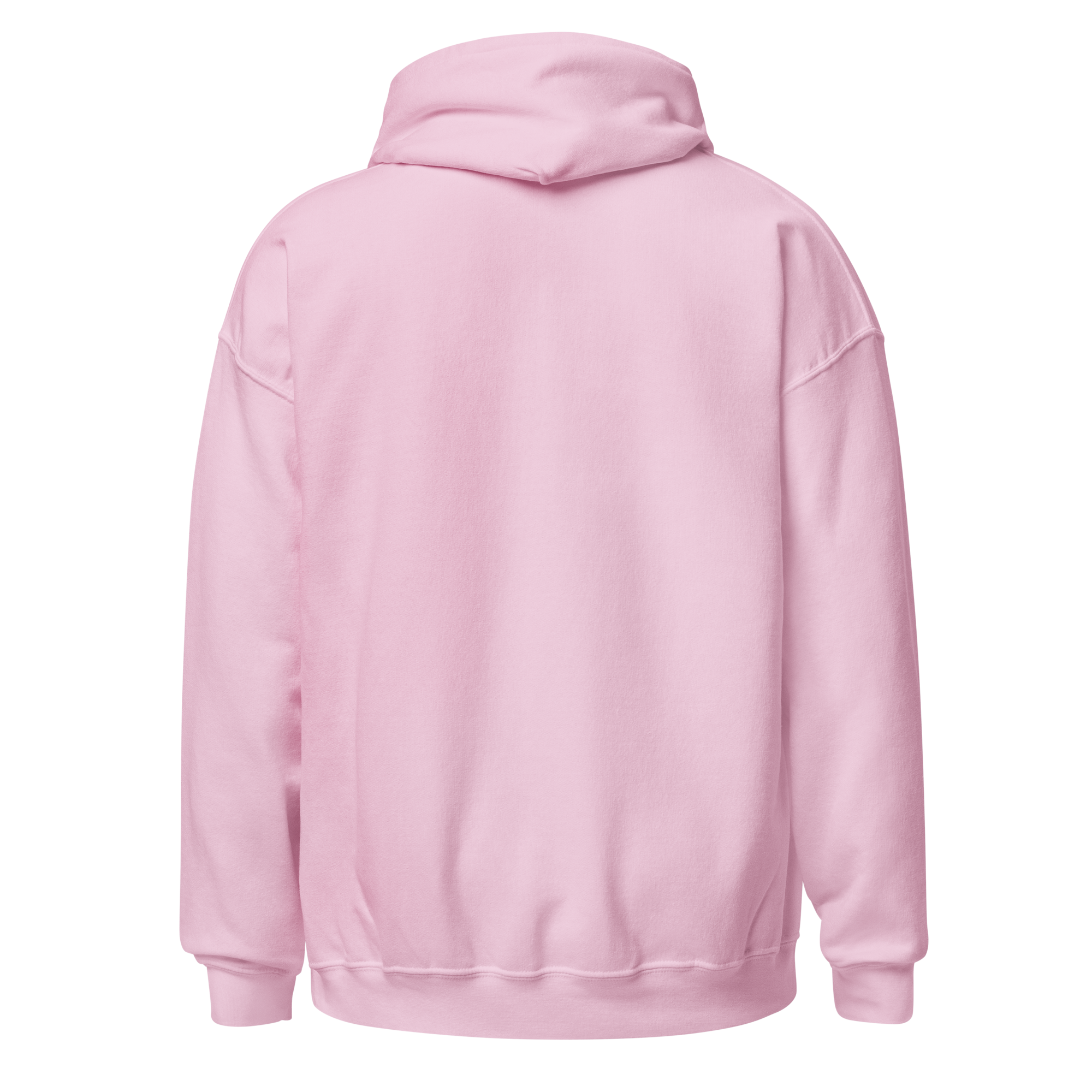 unisex-heavy-blend-hoodie-light-pink-back-6935c1b3f2983.png