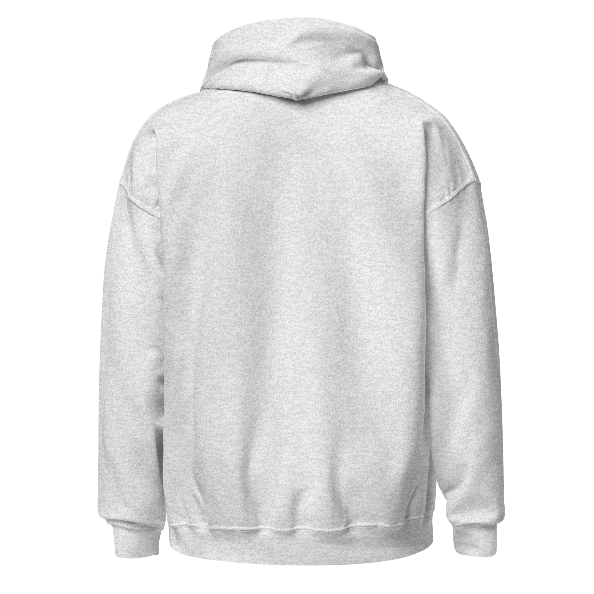 unisex-heavy-blend-hoodie-ash-back-6935c1b3f282a.png