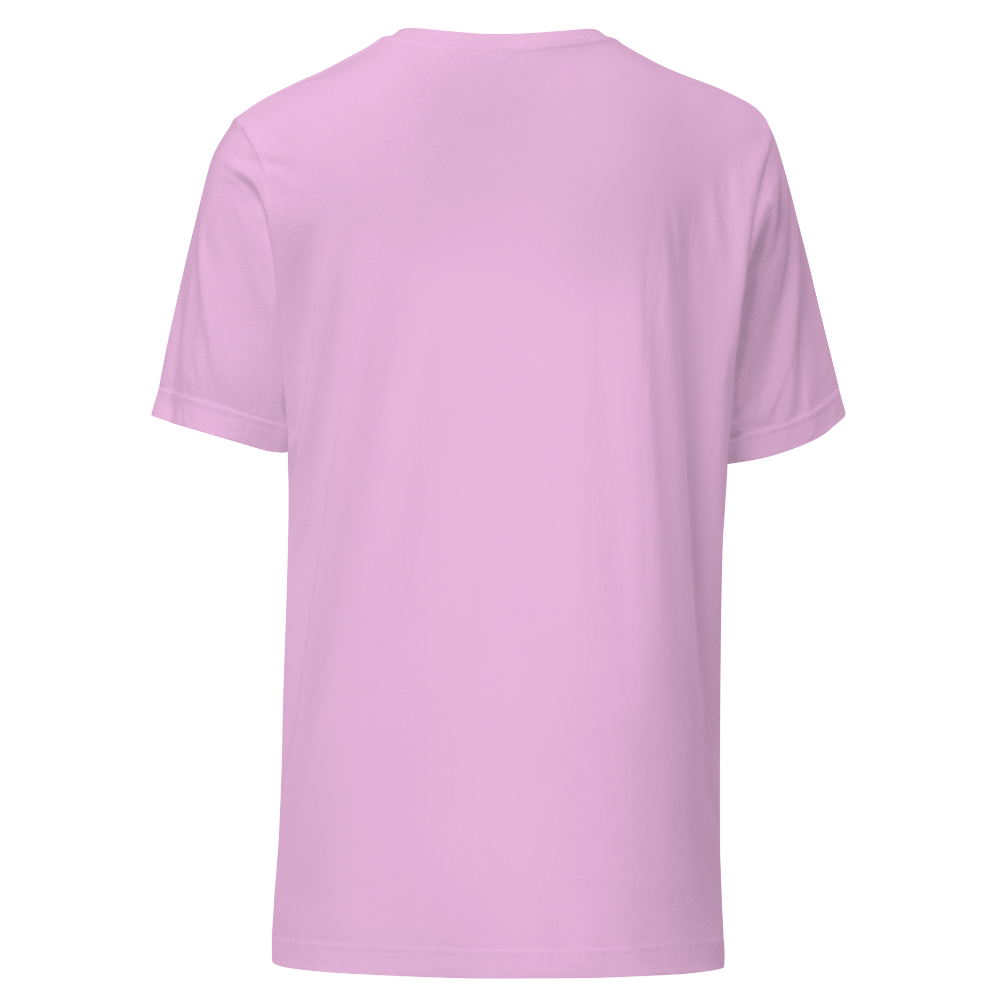 unisex-staple-t-shirt-lilac-back-6935d4da3de93.png