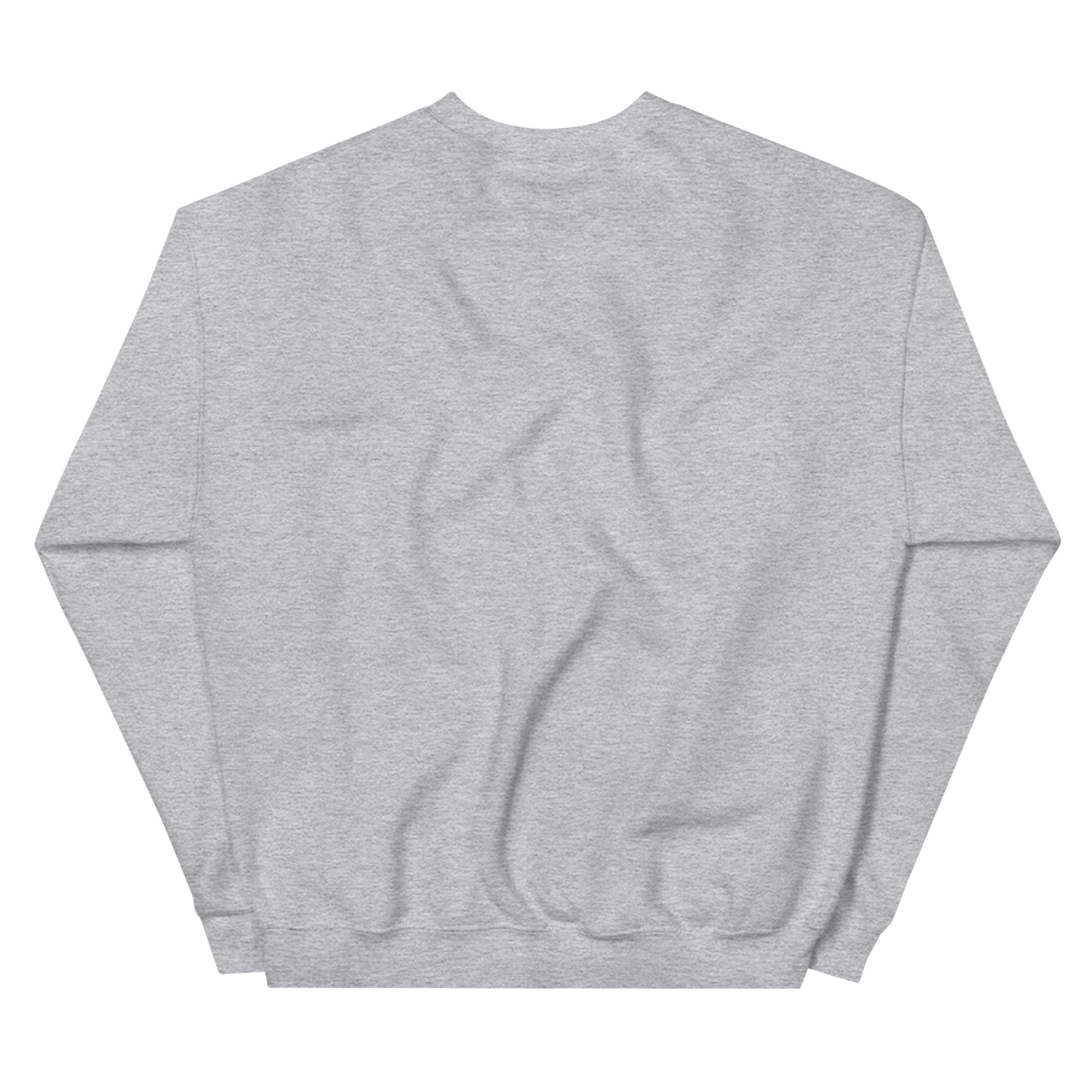 unisex-crew-neck-sweatshirt-sport-grey-back-693c4211ce2a8.png