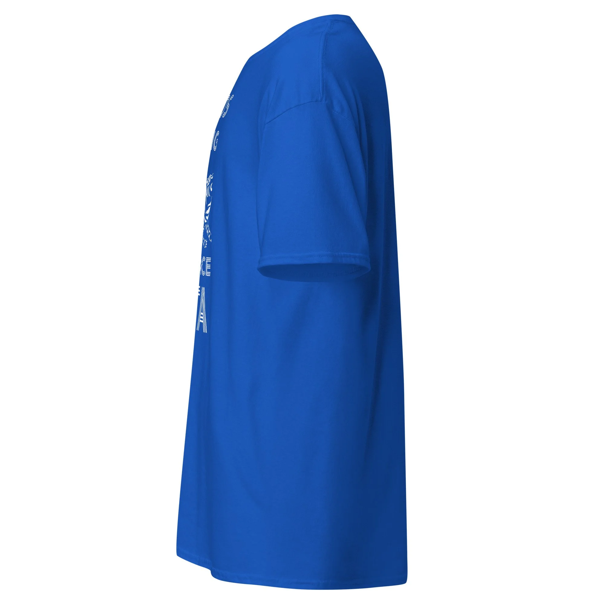 unisex-classic-tee-royal-left-6abd04b5d36db.jpg