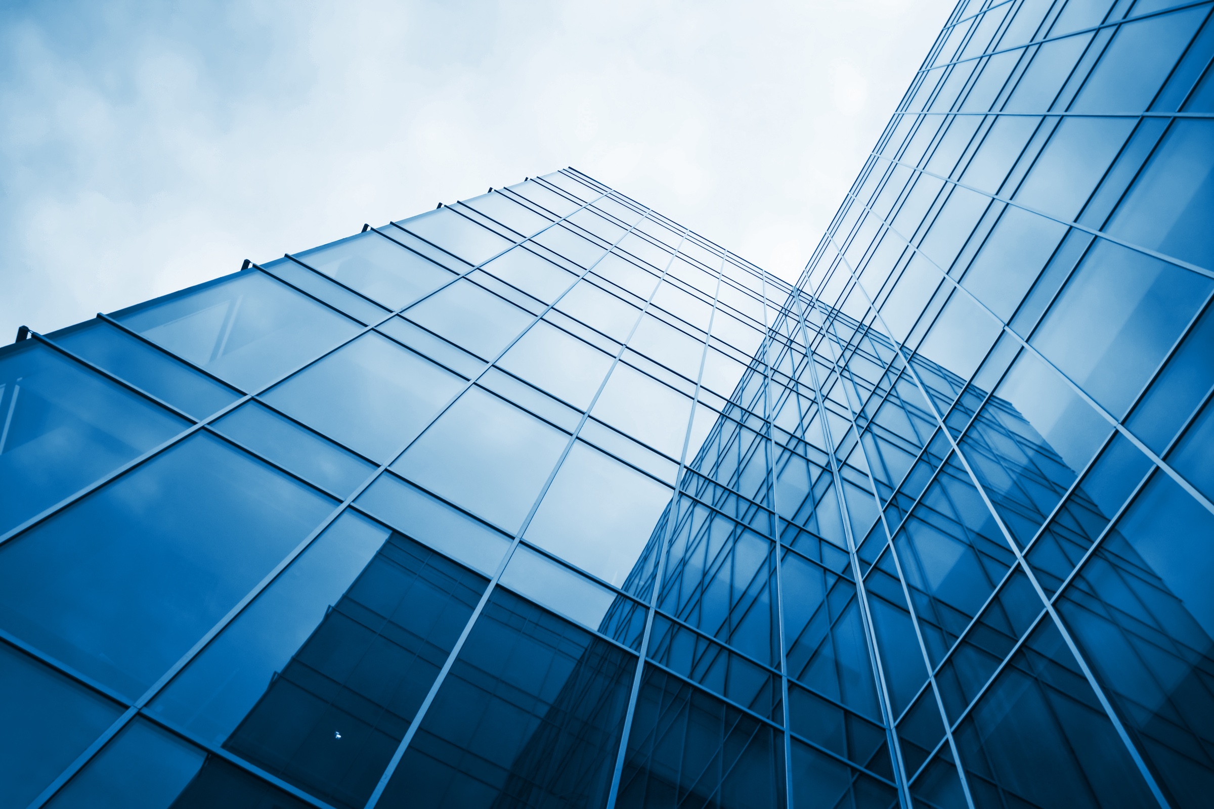 building-protek-247.jpg
