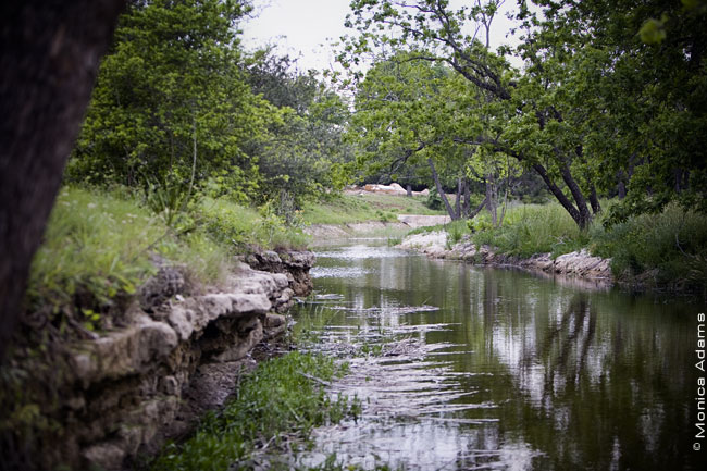 5083-BearCreek.jpg