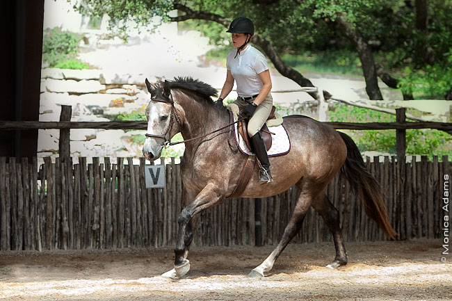 5399-ZuriJuly2011.jpg