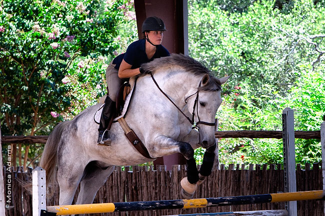 5565-FrodoJuly2011.jpg