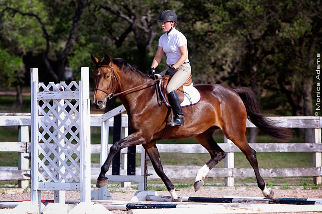 4975-ZaraJuly2011.jpg
